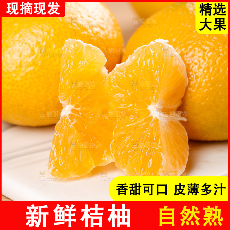 浅底上的桔柚