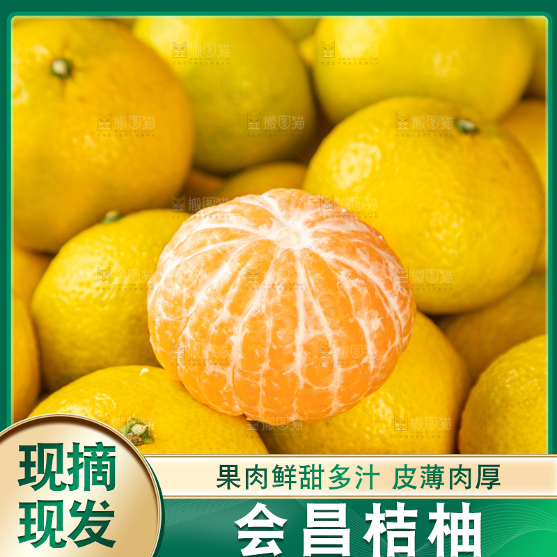 桔柚主图