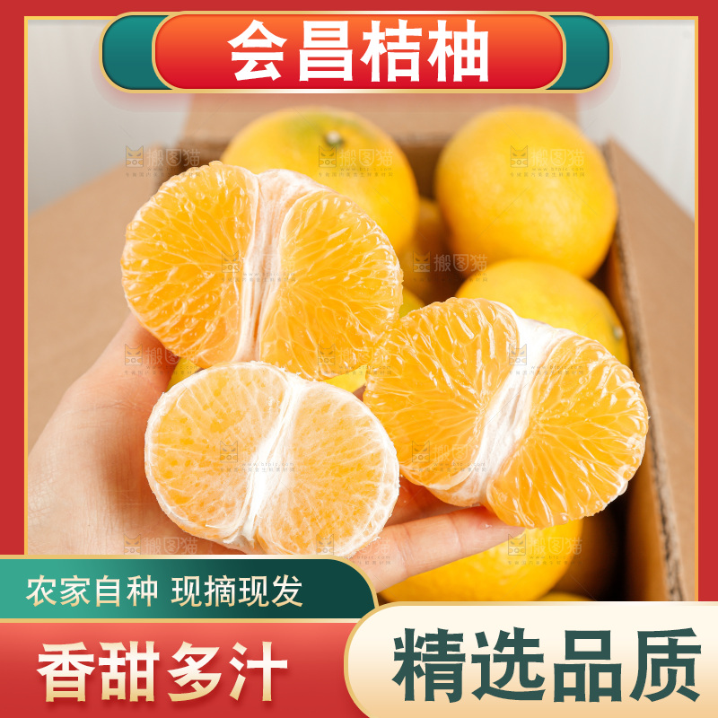 浅底上的桔柚