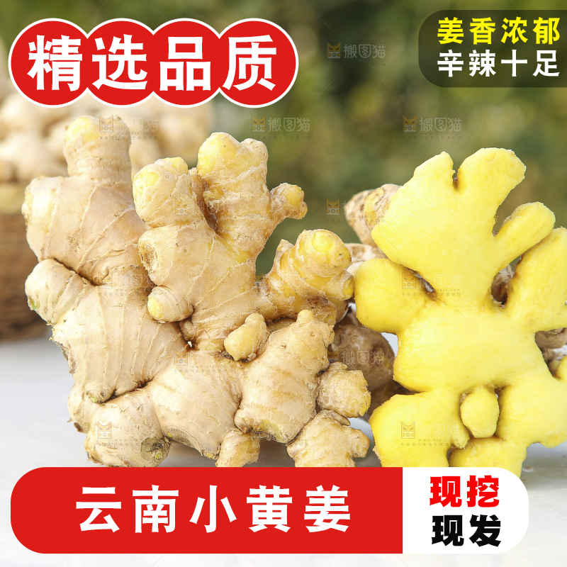 浅底上的小黄姜