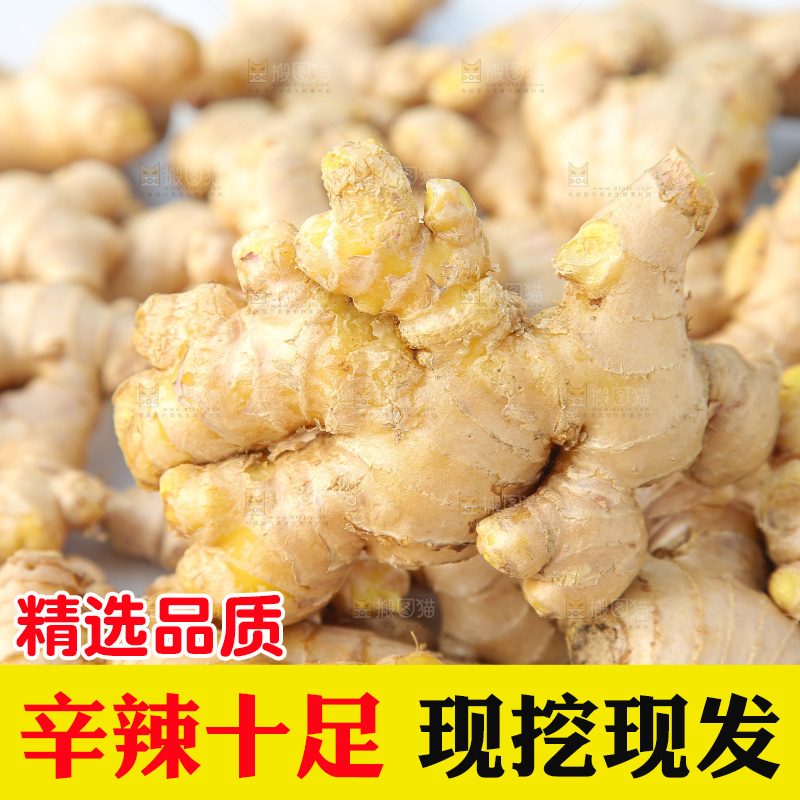 浅底上的小黄姜