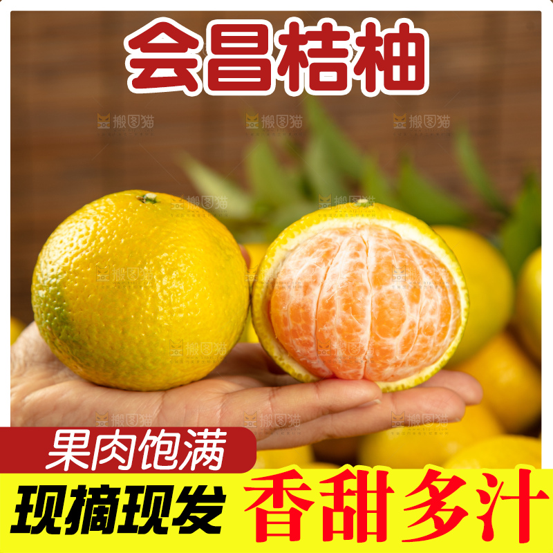 深底上的桔柚