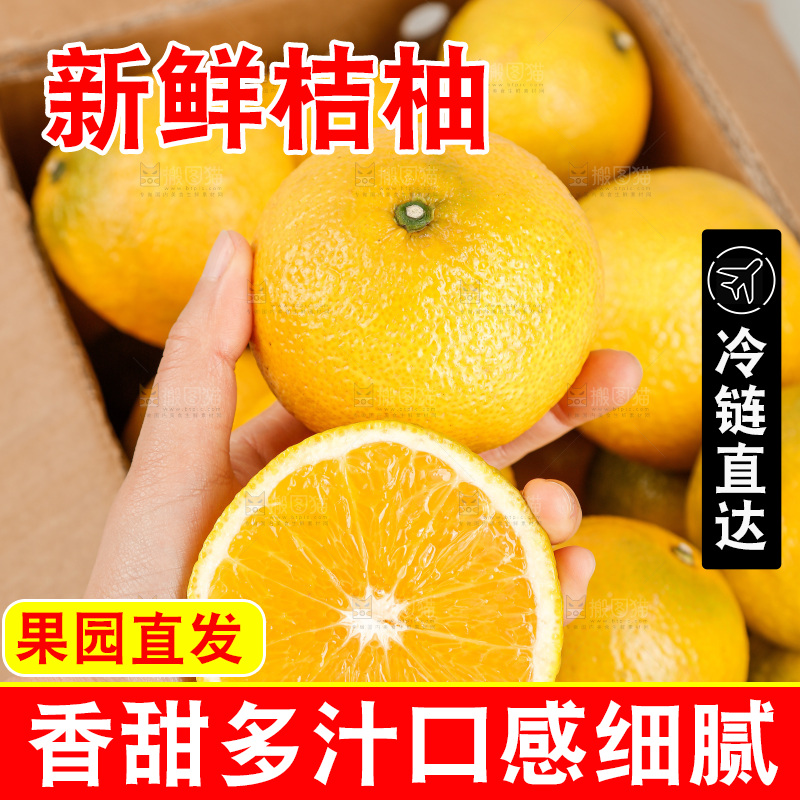 浅底上的桔柚