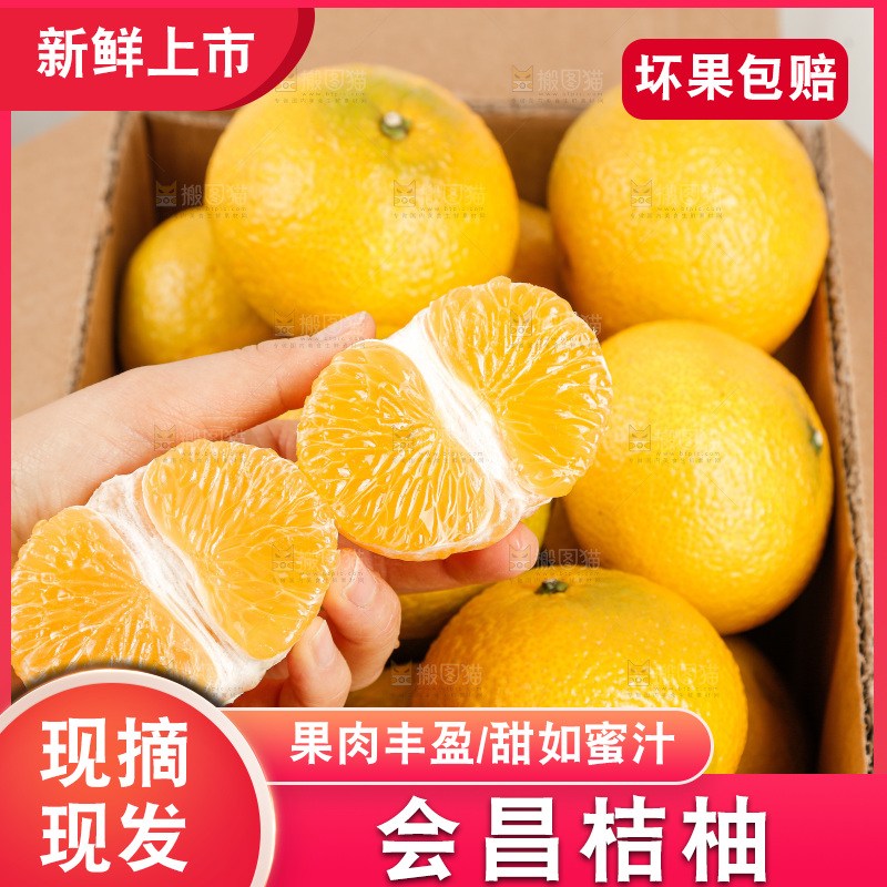 浅底上的桔柚