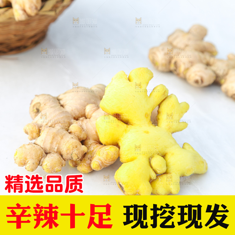 浅底上的小黄姜