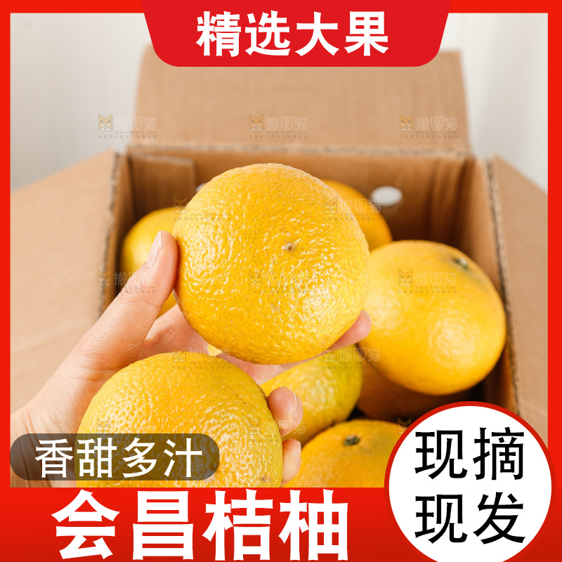 浅底上的桔柚