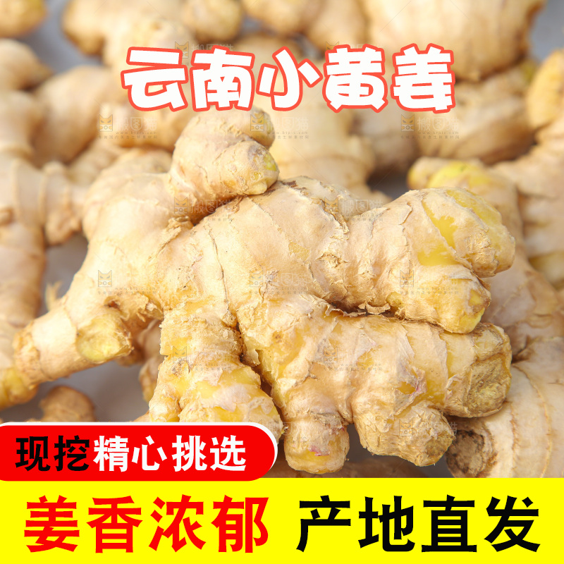 浅底上的小黄姜