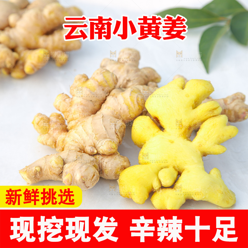 浅底上的小黄姜