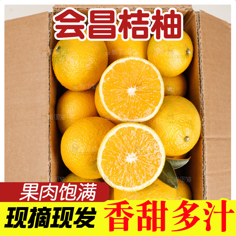 浅底上的桔柚