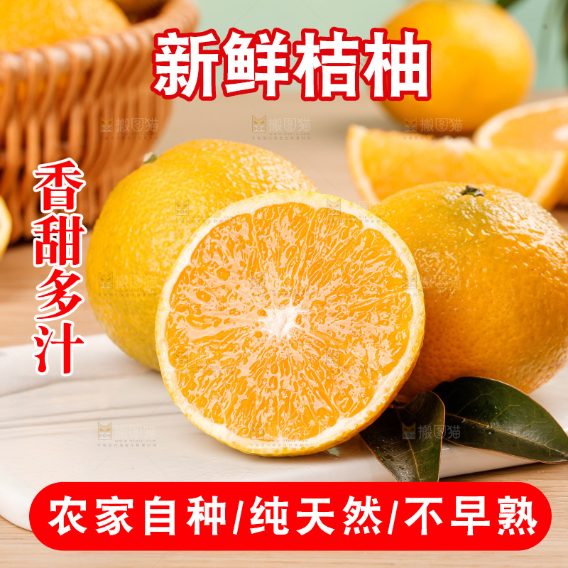 浅底上的桔柚