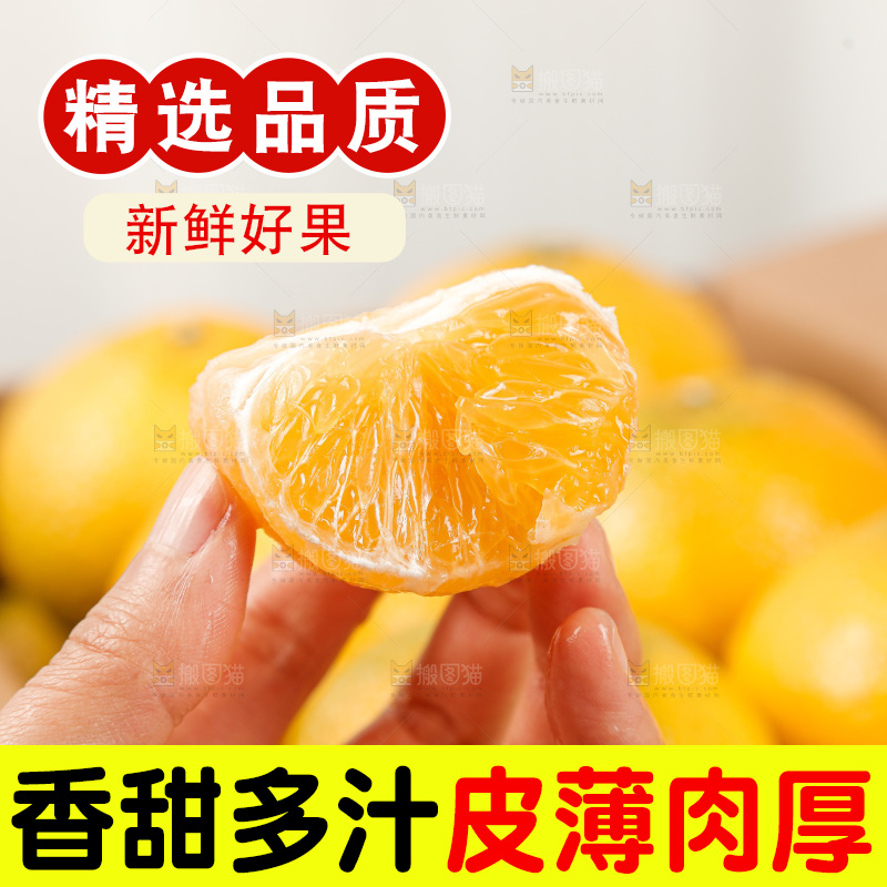 浅底上的桔柚