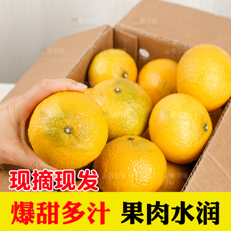 浅底上的桔柚