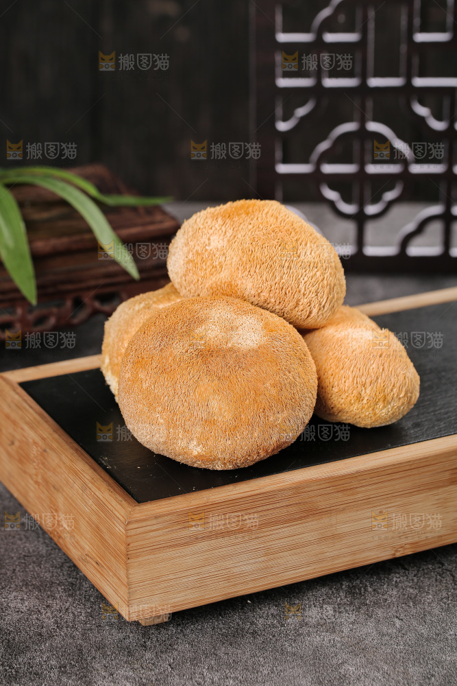 深底上的猴头菇