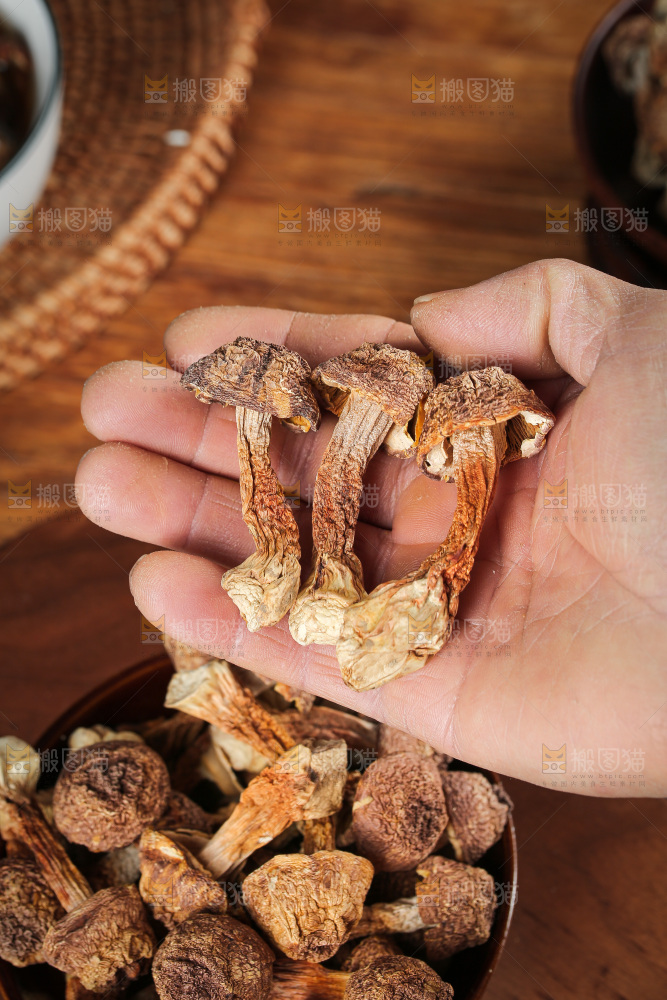 深底上的姬松茸