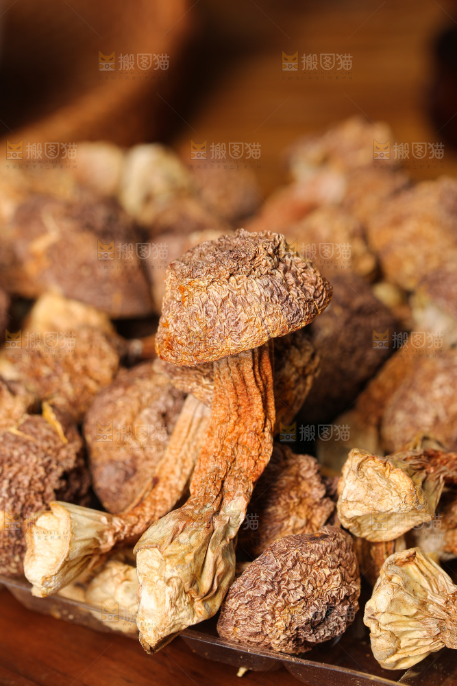 深底上的姬松茸