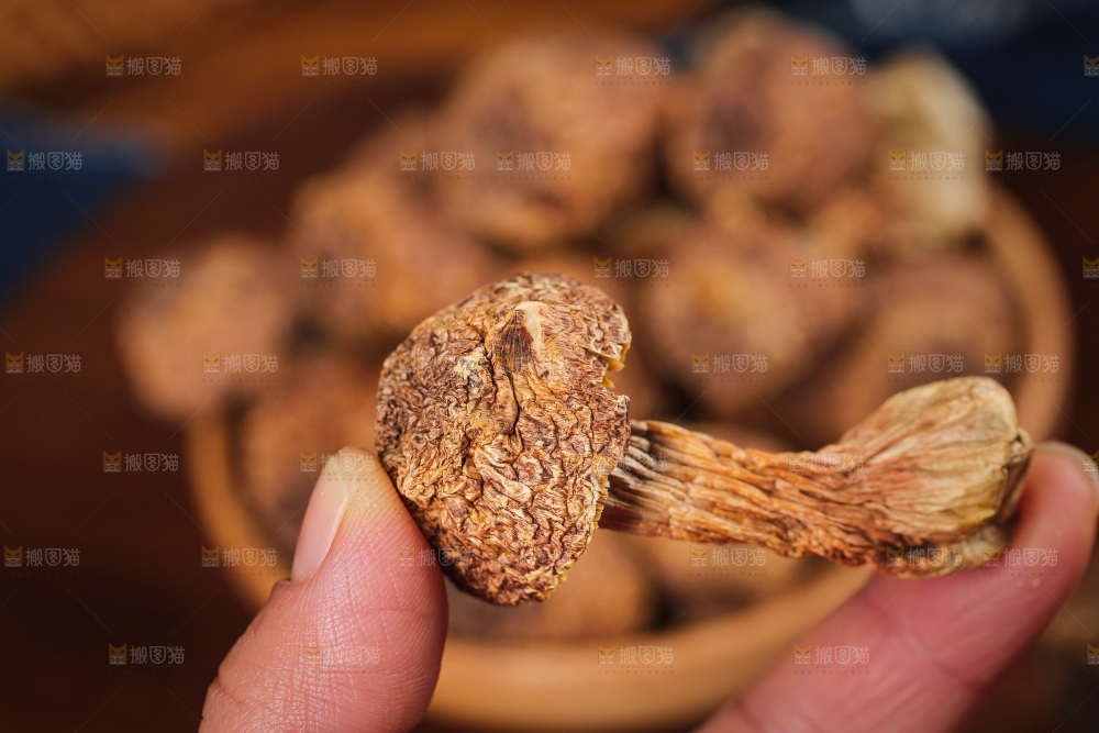 深底上的姬松茸