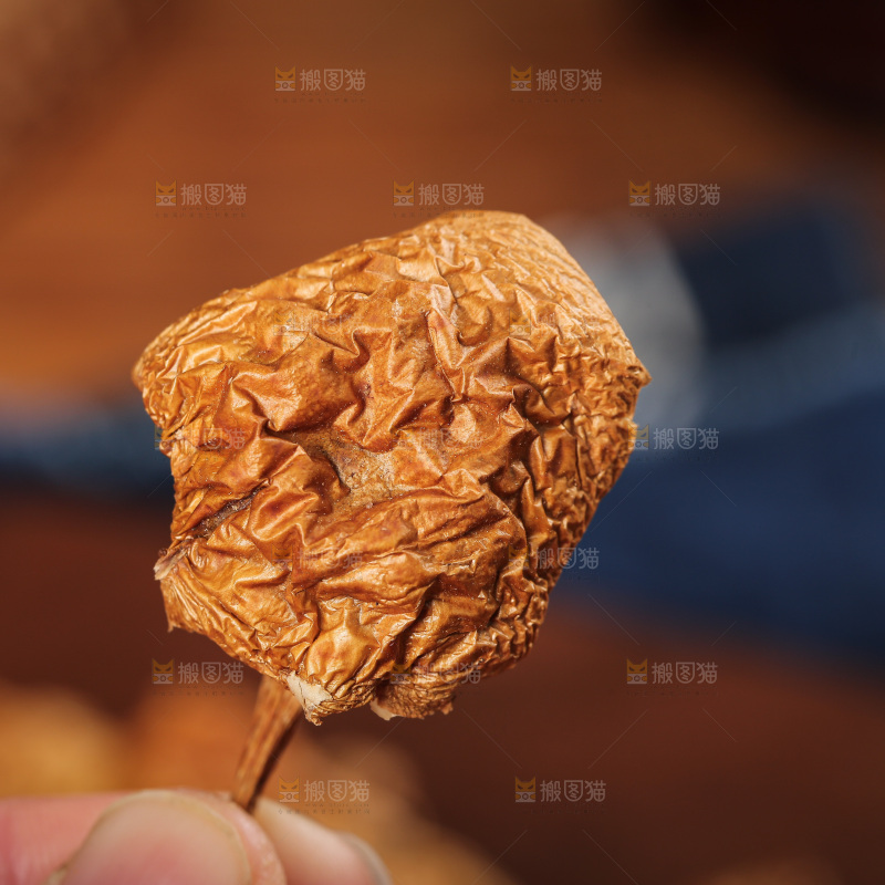 深底上的滑子菇