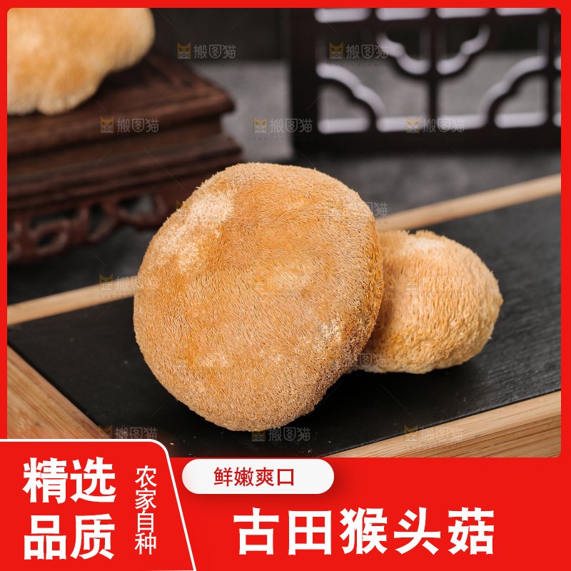 深底上的猴头菇