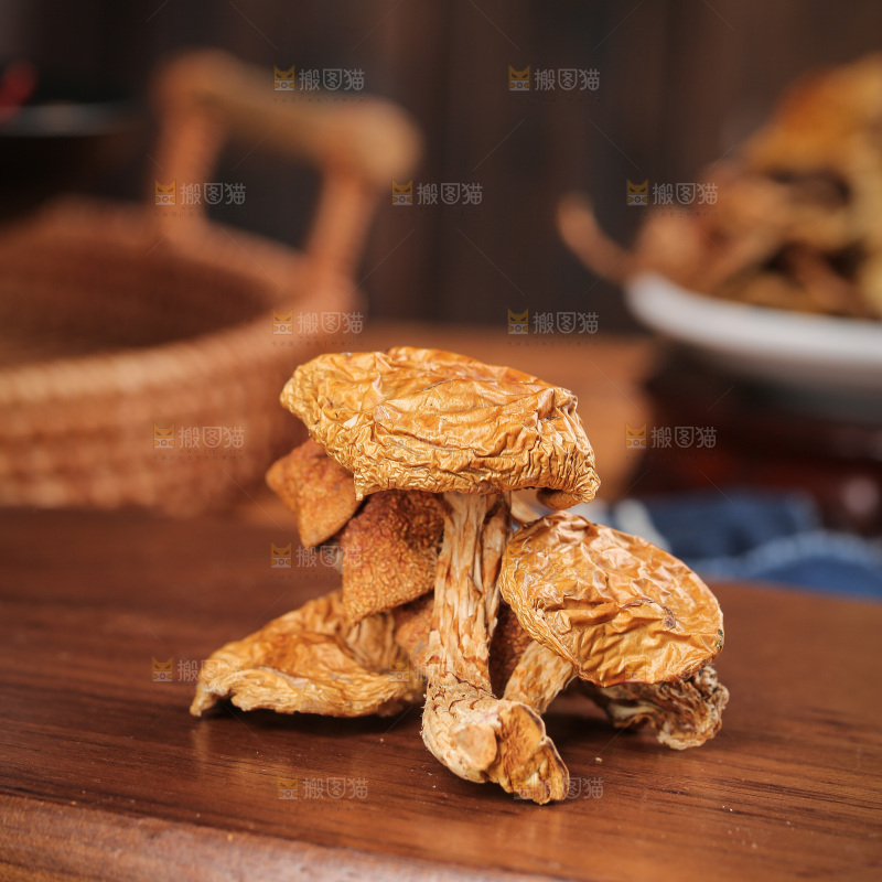深底上的滑子菇