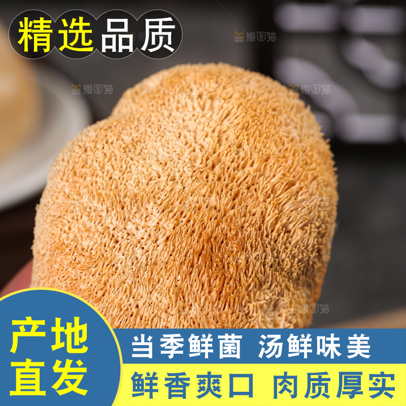 深底上的猴头菇