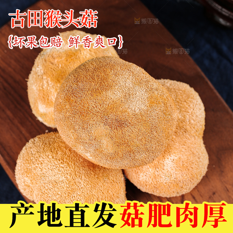 深底上的猴头菇