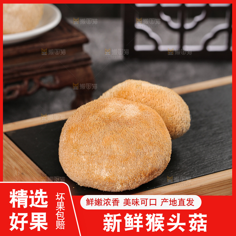 深底上的猴头菇