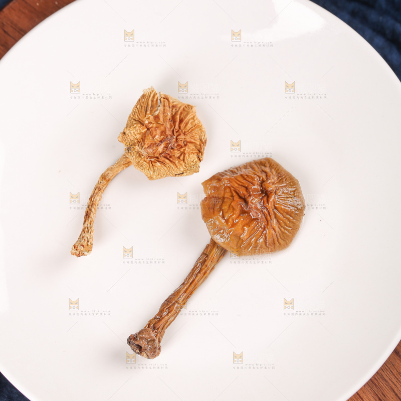 深底上的滑子菇