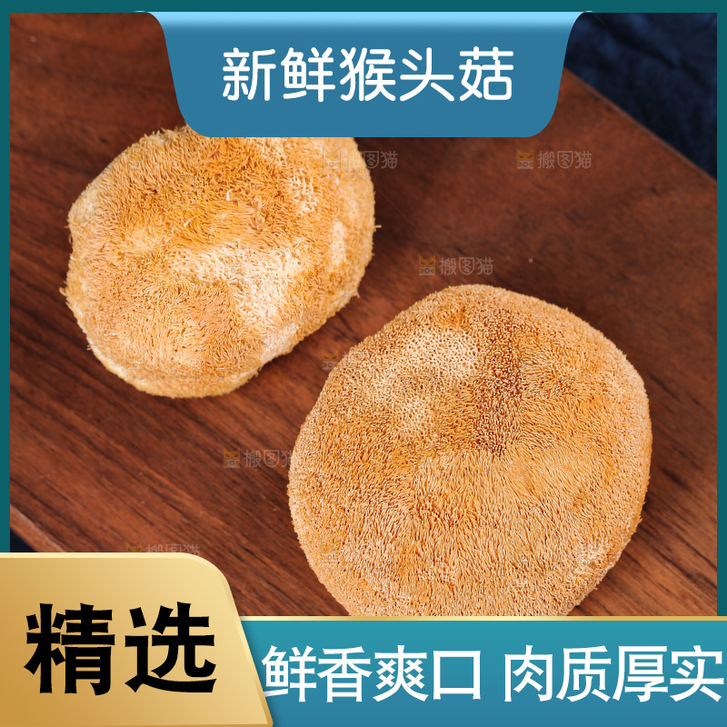 深底上的猴头菇