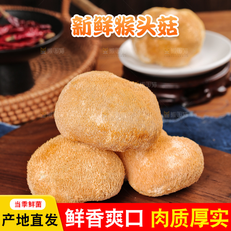 深底上的猴头菇