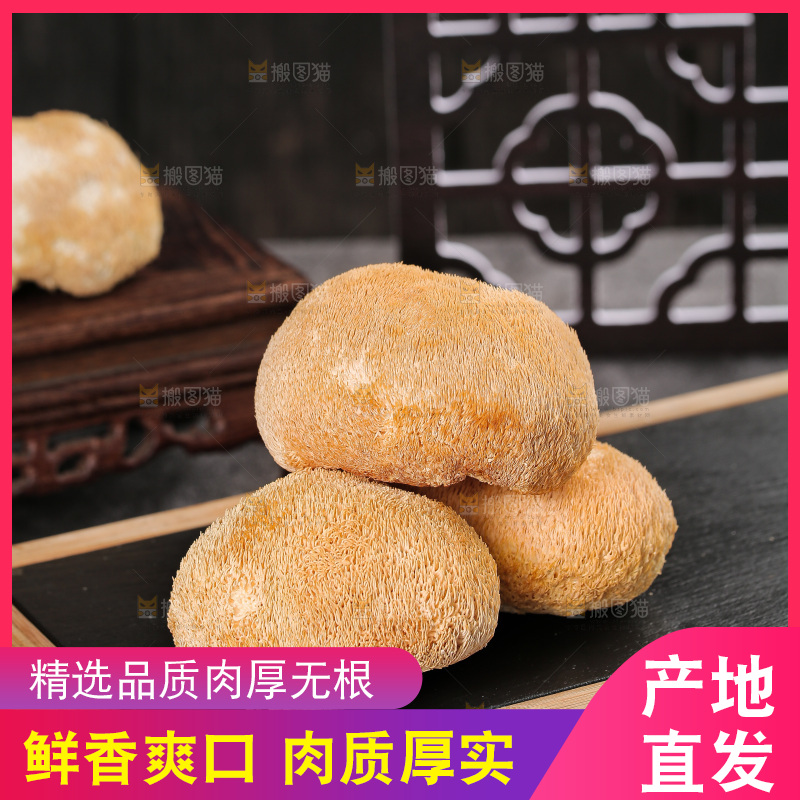 深底上的猴头菇