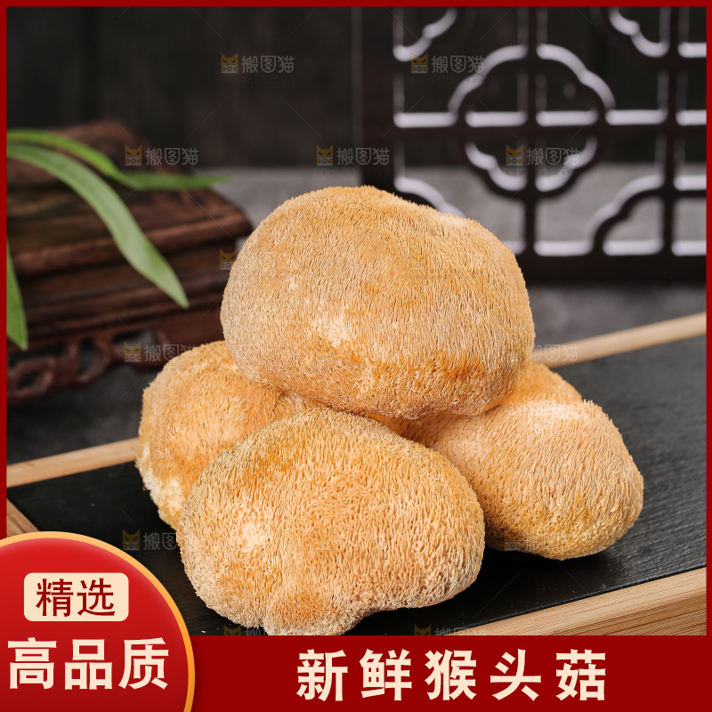 深底上的猴头菇
