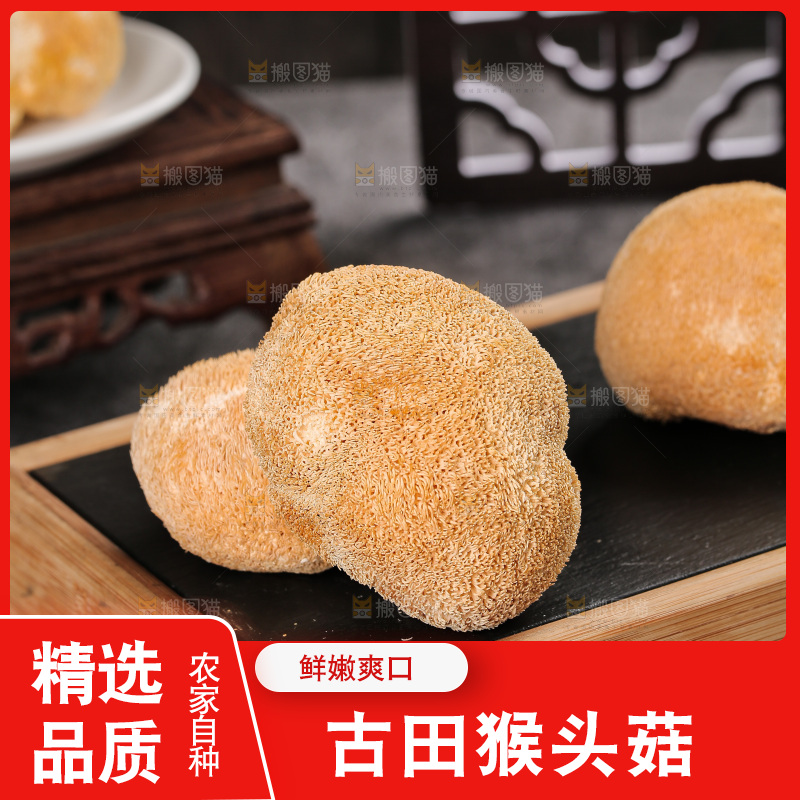 深底上的猴头菇