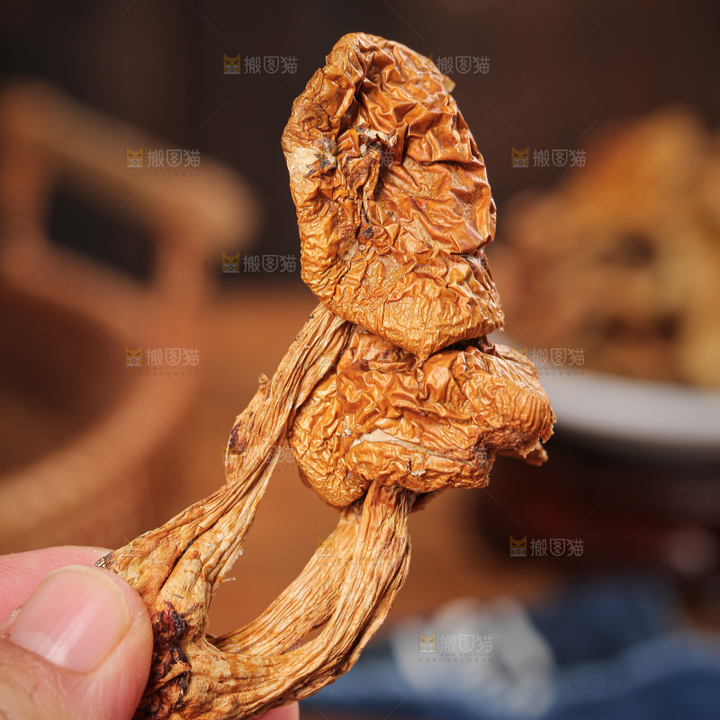 深底上的滑子菇