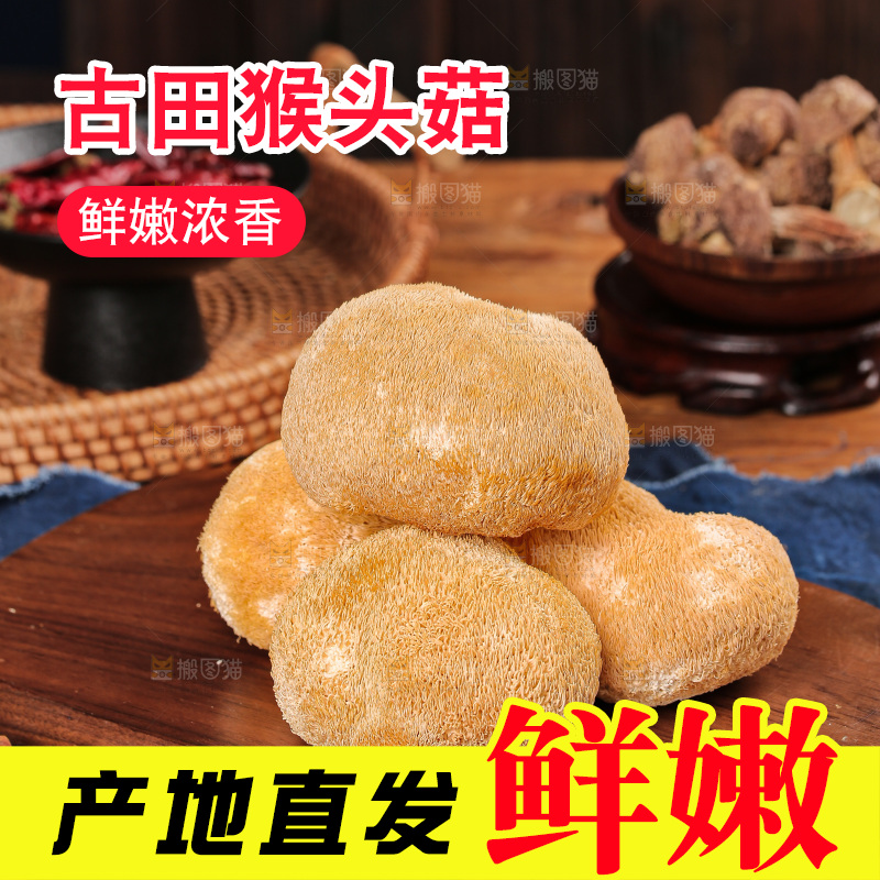 深底上的猴头菇