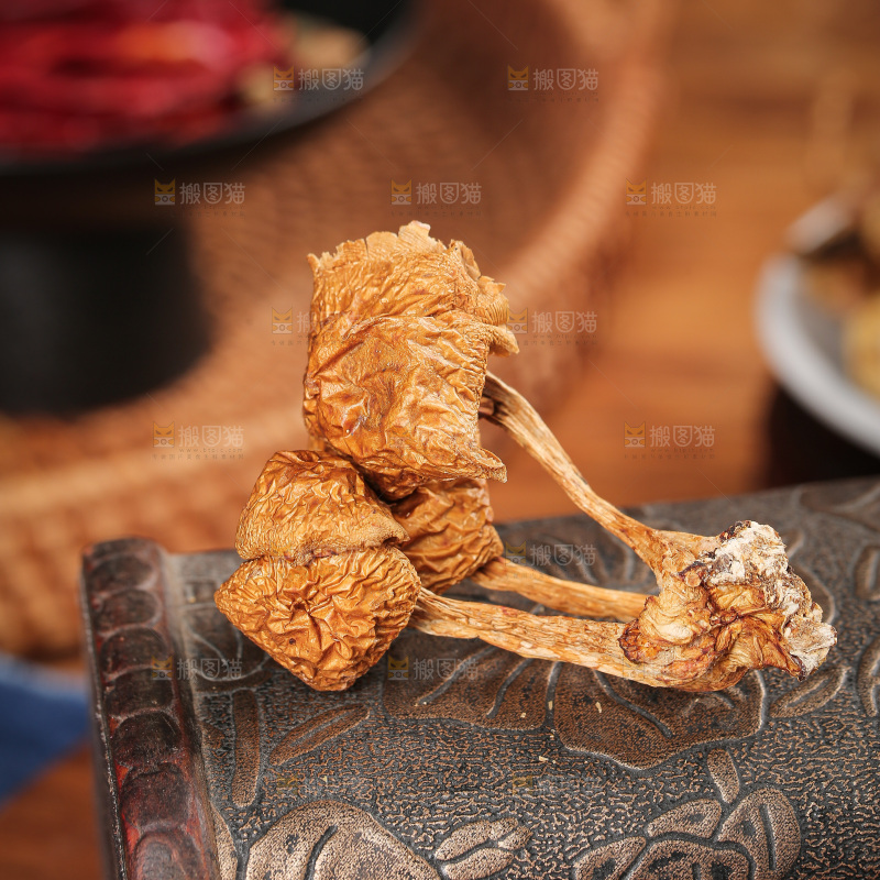 深底上的滑子菇
