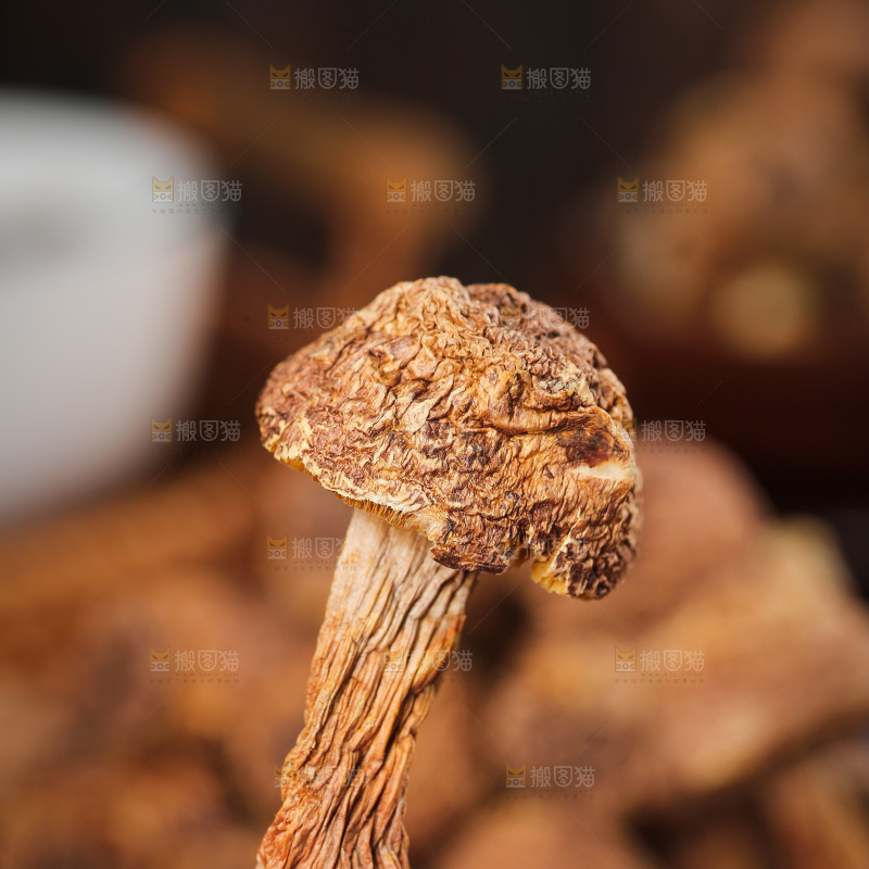 深底上的姬松茸