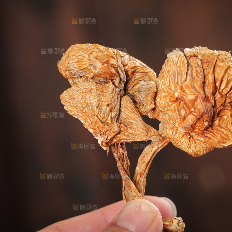 深底上的滑子菇
