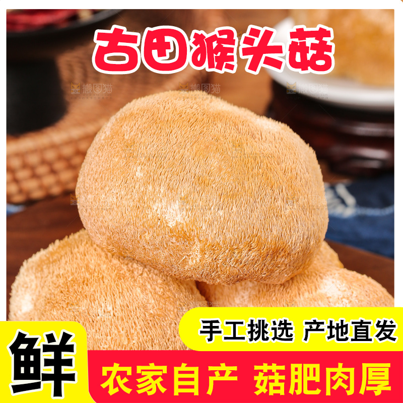 深底上的猴头菇