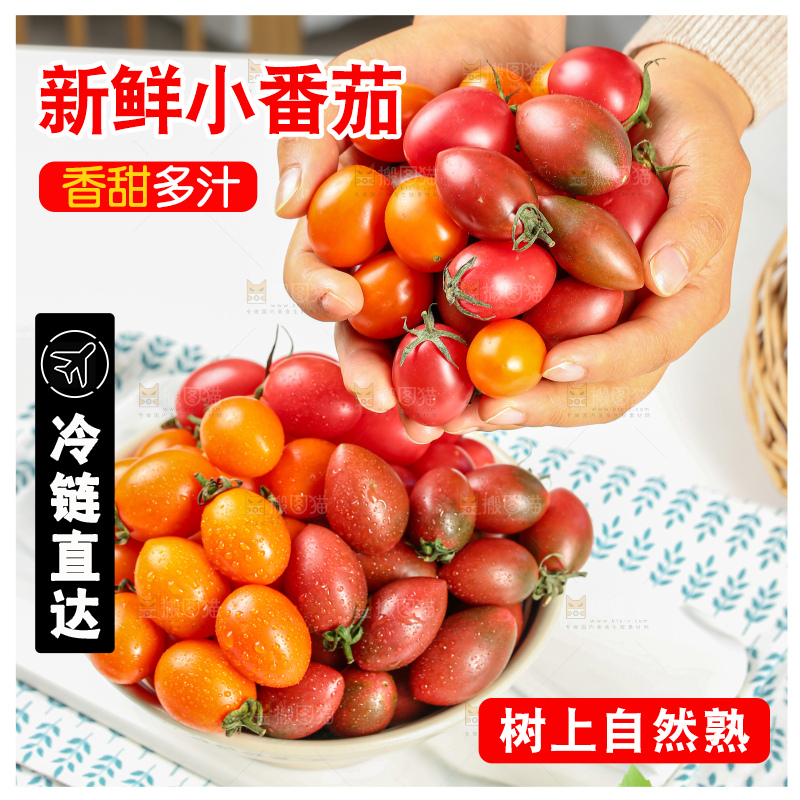 浅底上的小番茄
