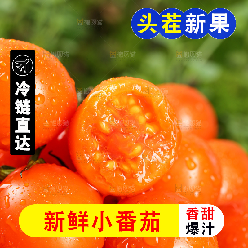 浅底上的小番茄