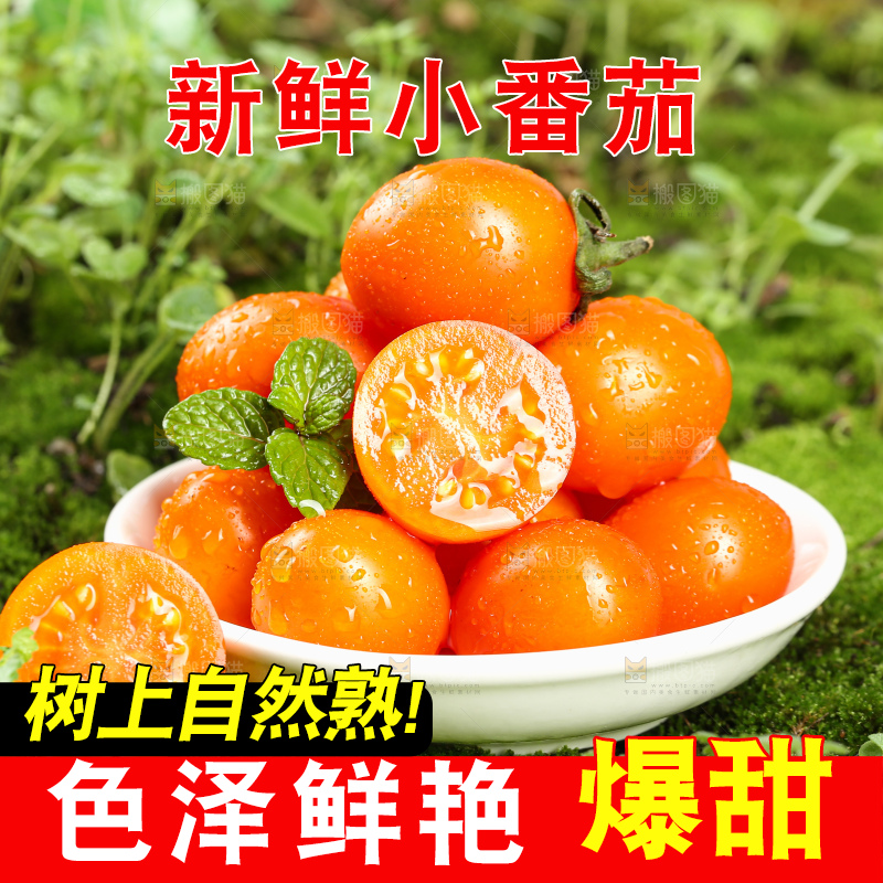浅底上的小番茄