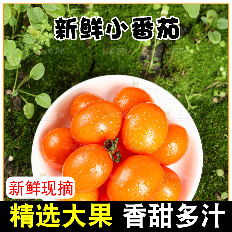 浅底上的小番茄