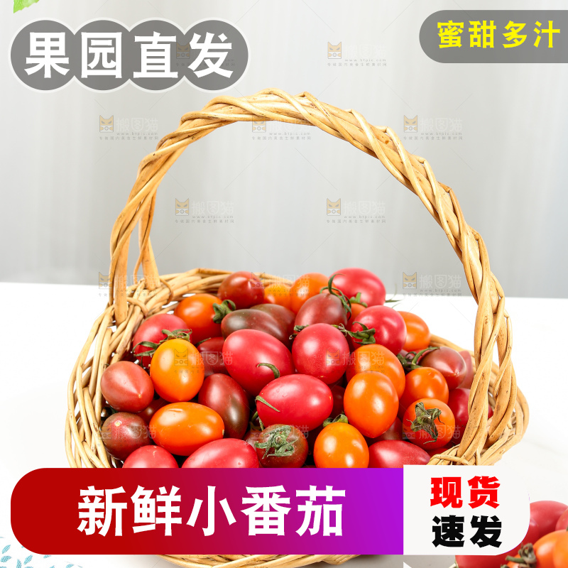 浅底上的小番茄