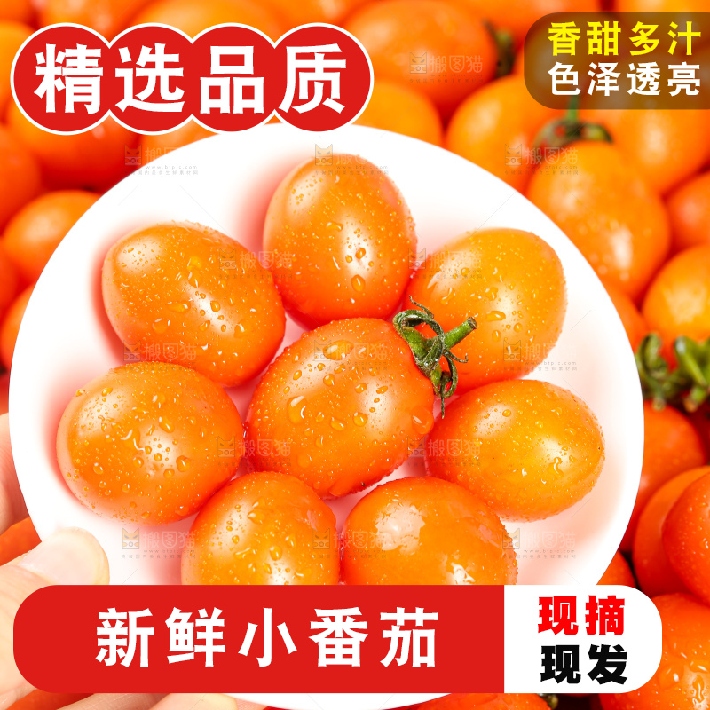 浅底上的小番茄