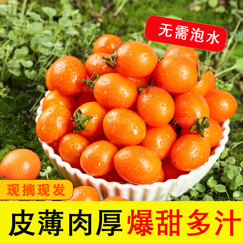 浅底上的小番茄