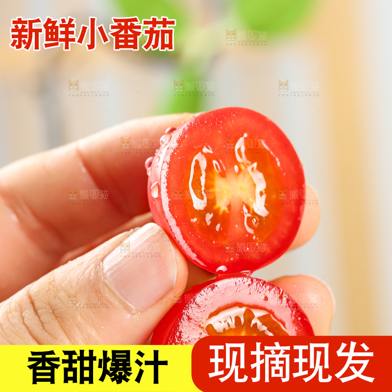 浅底上的小番茄