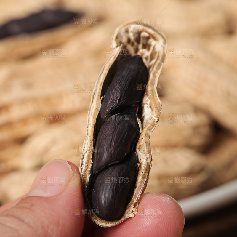 深底上的黑皮花生