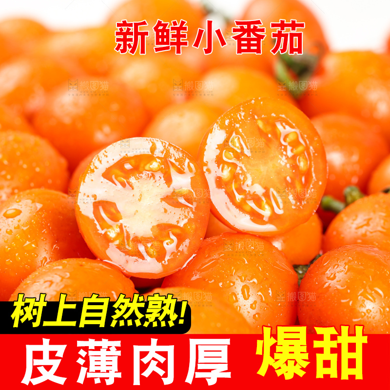 浅底上的小番茄