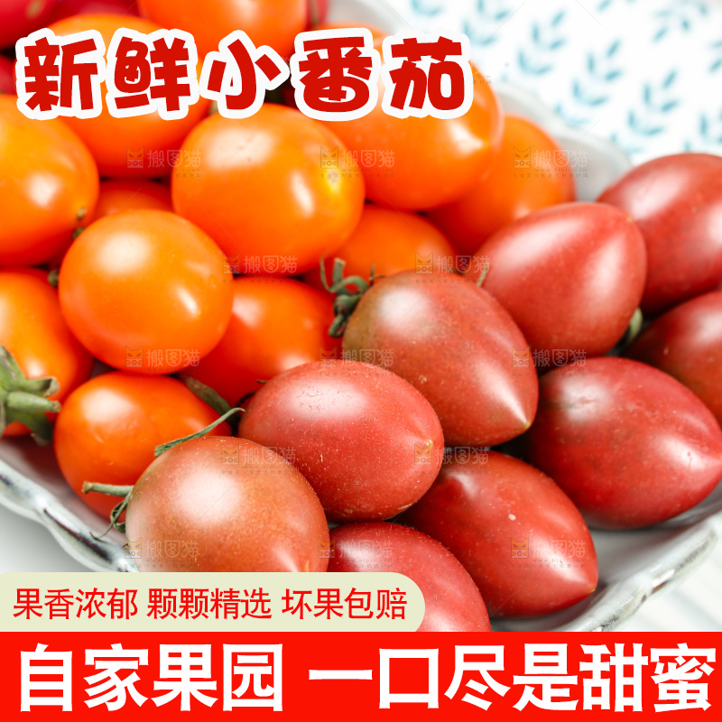 浅底上的小番茄