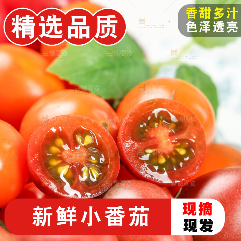 浅底上的小番茄